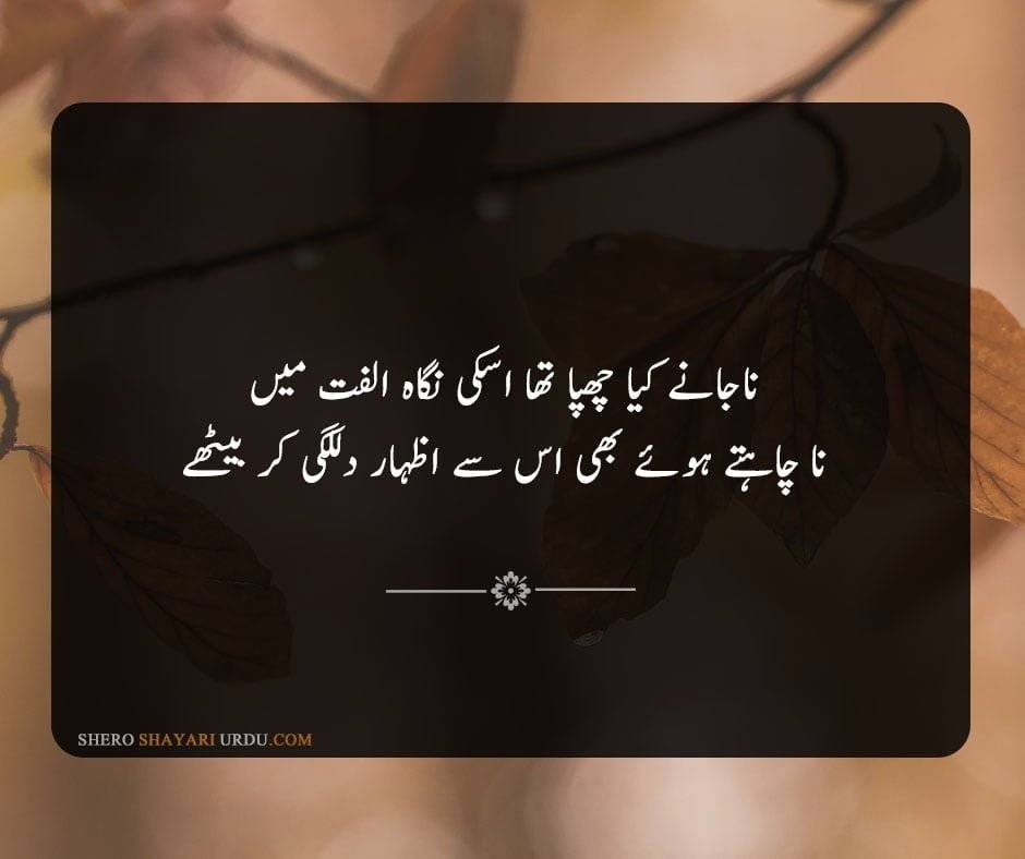 Heart Broken Poetry in Urdu -  Dil Shayari