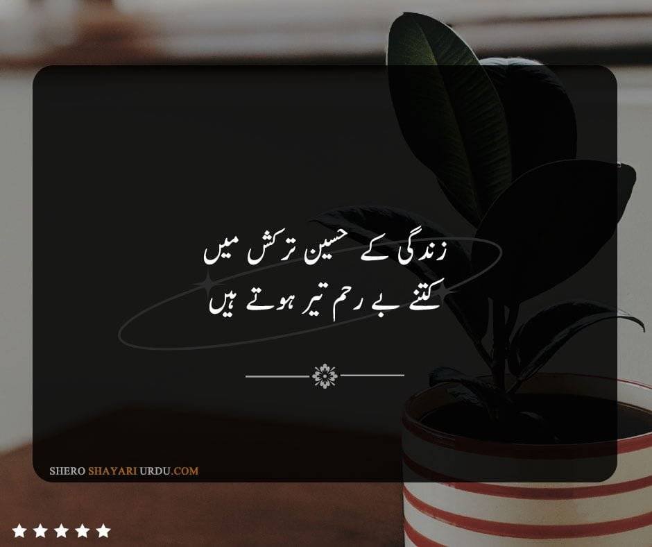 Husn Ki Tareef Shayari in Urdu | Husn Poetry