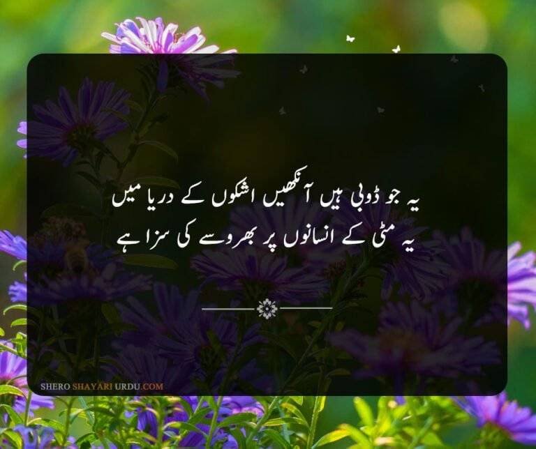 Eyes Poetry In Urdu 2 Lines With Images - Aankhen Shayari