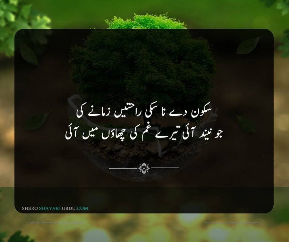 Neend Poetry in Urdu With Pictures