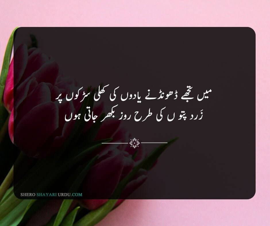 Yaad Poetry in Urdu | Shayari Yaad Per