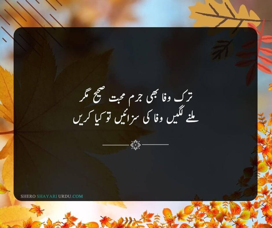 New Wafa Poetry In Urdu | Wafa Shero Shayari