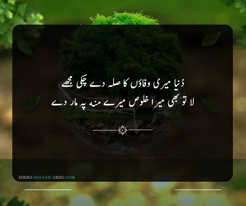 New Wafa Poetry In Urdu | Wafa Shero Shayari