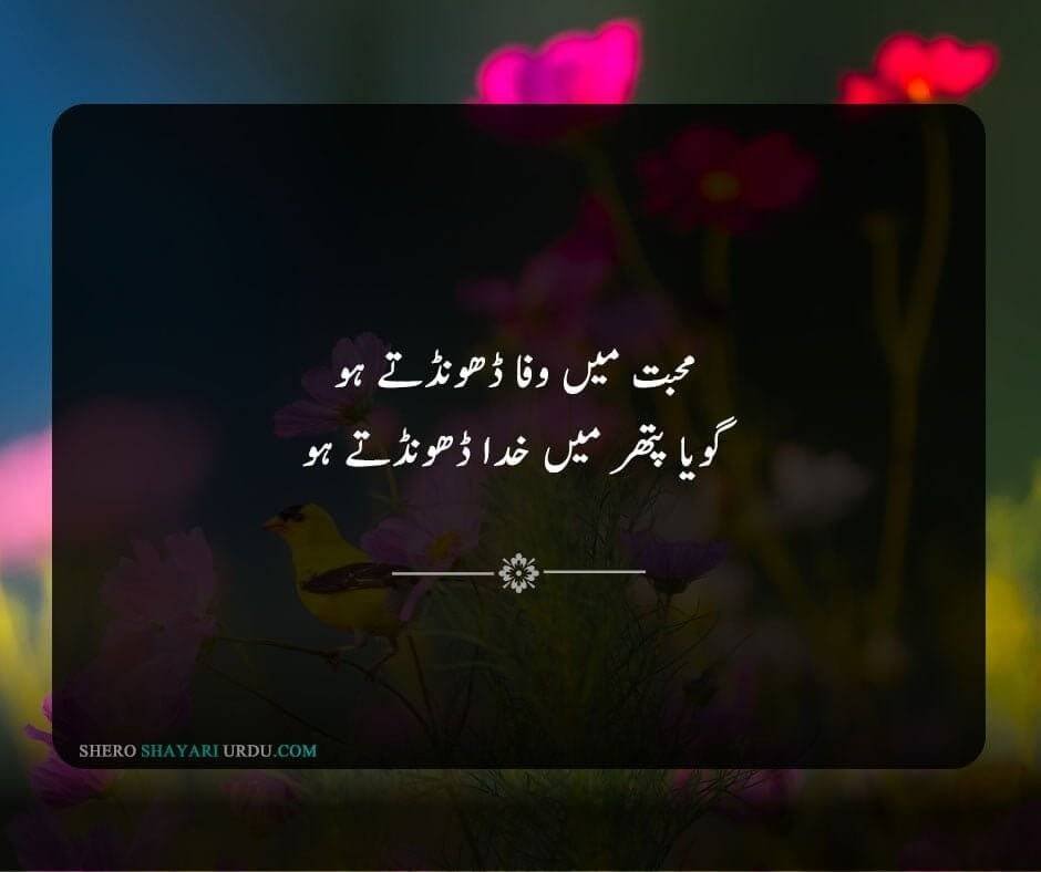 New Wafa Poetry In Urdu | Wafa Shero Shayari