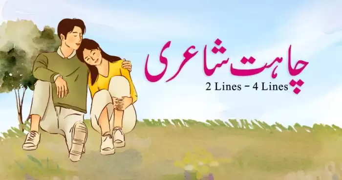 Shero Shayari in Urdu & Punjabi